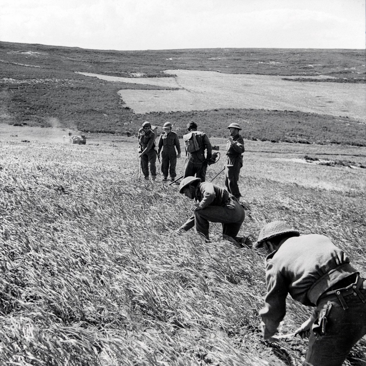 Sapéři 237 Field Company, Royal Engineers, čistí minové pole po útoku první armády na Toukabeur a Chaouach, duben 1943 od English Photographer
