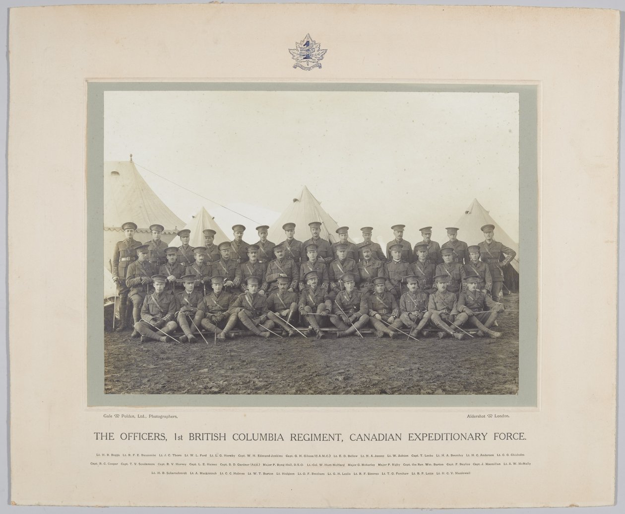 The Officers, 1st British Columbia Regiment, kanadské expediční síly, 1918 od English Photographer