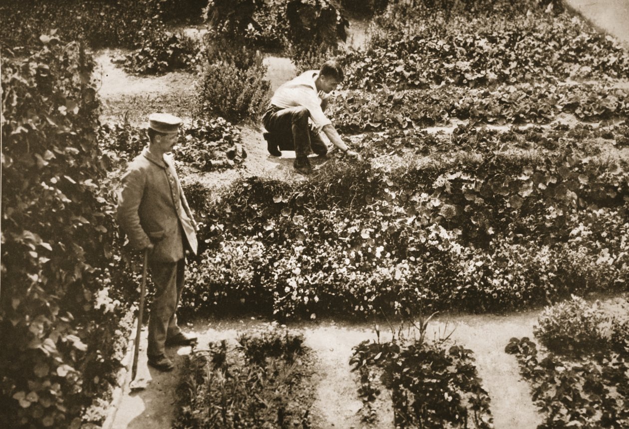 The Prisoners Gardens, Dorchester, ilustrace z knihy Němečtí vězni ve Velké Británii (fotogravura) od English Photographer