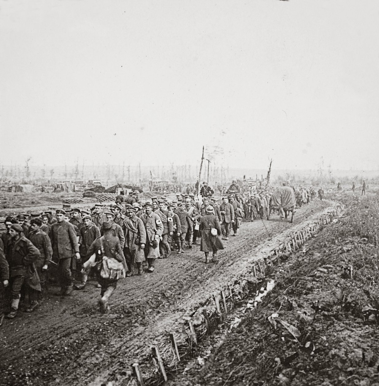 Tisíce německých vojáků zajatých při konečném postupu německých armád na Sambre, 1918 od English Photographer