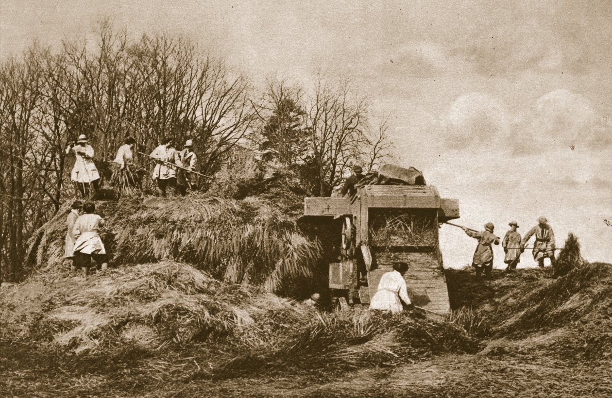 Výcvik ženské zemské armády v teorii a praxi všech odvětví zemědělství, 1914-19 od English Photographer
