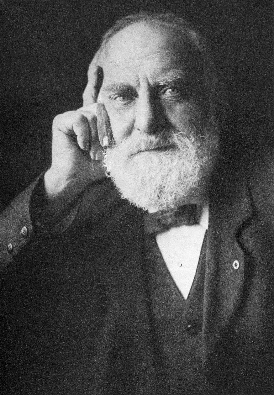 William Thomas Stead (1849-1912) od English Photographer