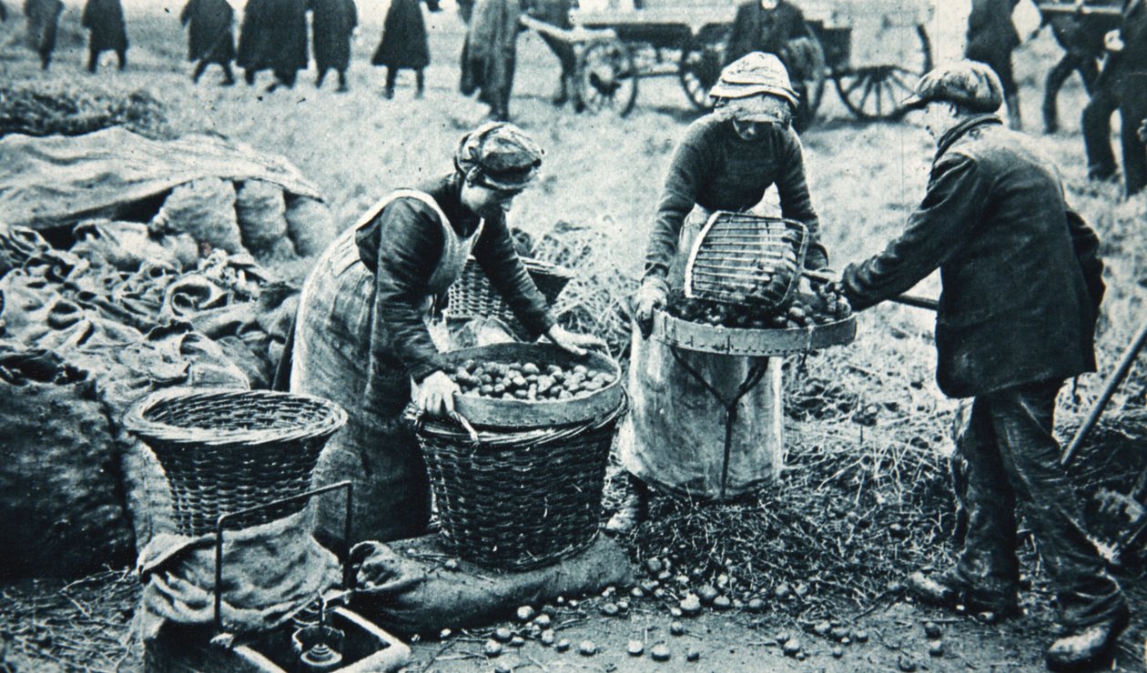 Ženy válečné dělnice na zemi, ilustrace z The Illustrated War News, 7. března 1917 (sépiová fotografie) od English Photographer