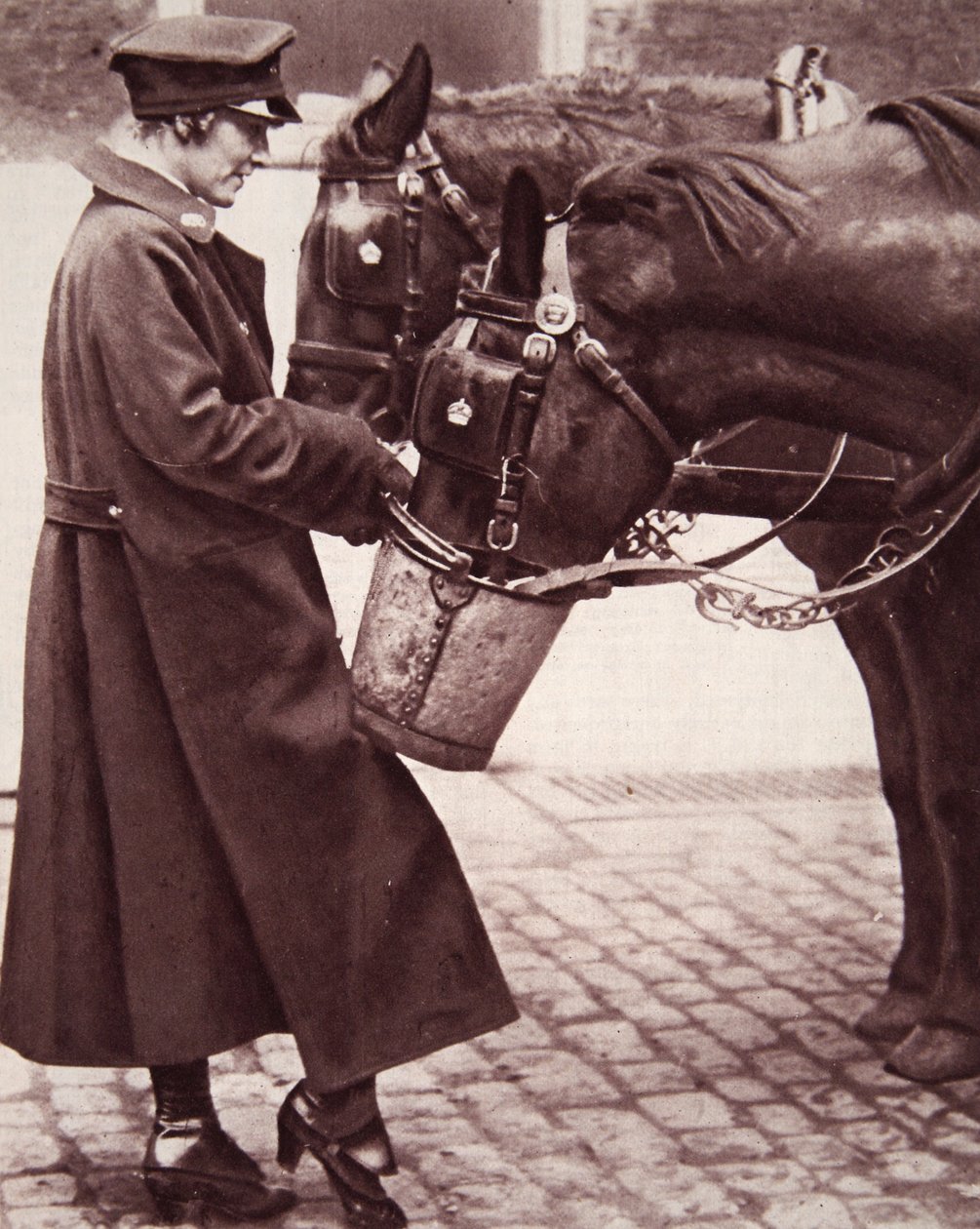 Práce pro ženy se znalostí koní, ilustrace z The Illustrated War News, 7. března 1917 (sépiová fotografie) od English Photographer