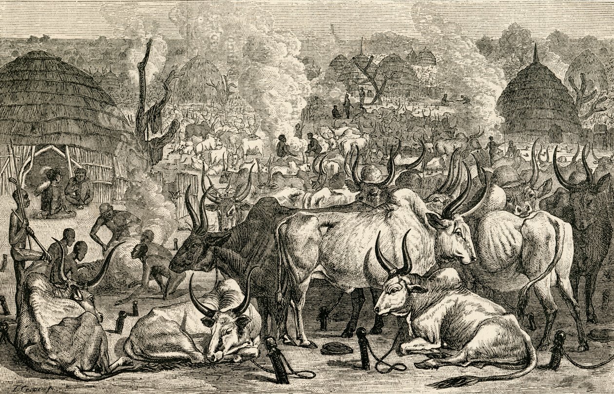 Dobytčí park Dinka, jižní Súdán, Afrika, od „The World