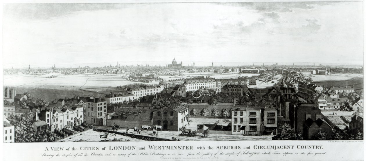 Pohled na města Londýna a Westminsteru s předměstími a okolní krajinou, 1789 od English School