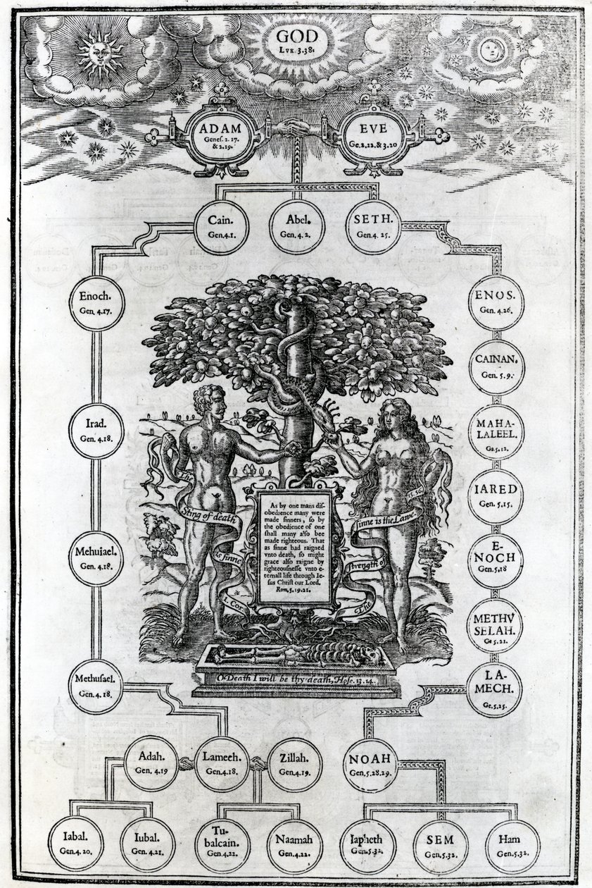 Rodokmen Adama a Evy, 1556 od English School