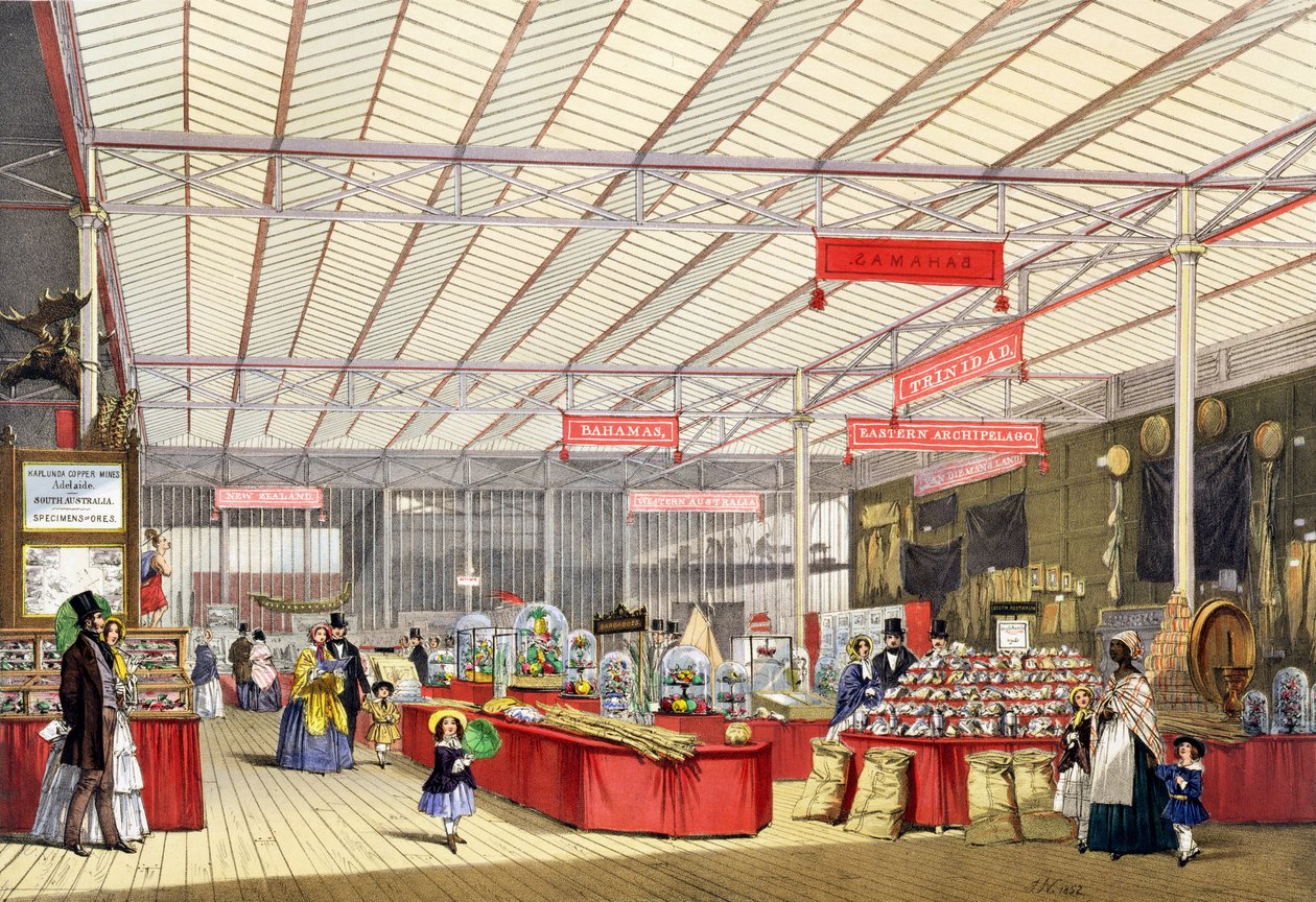 Koloniální produkce na Velké výstavě v roce 1851, z Dickinsonových komplexních obrázků (barevné lito) od English School