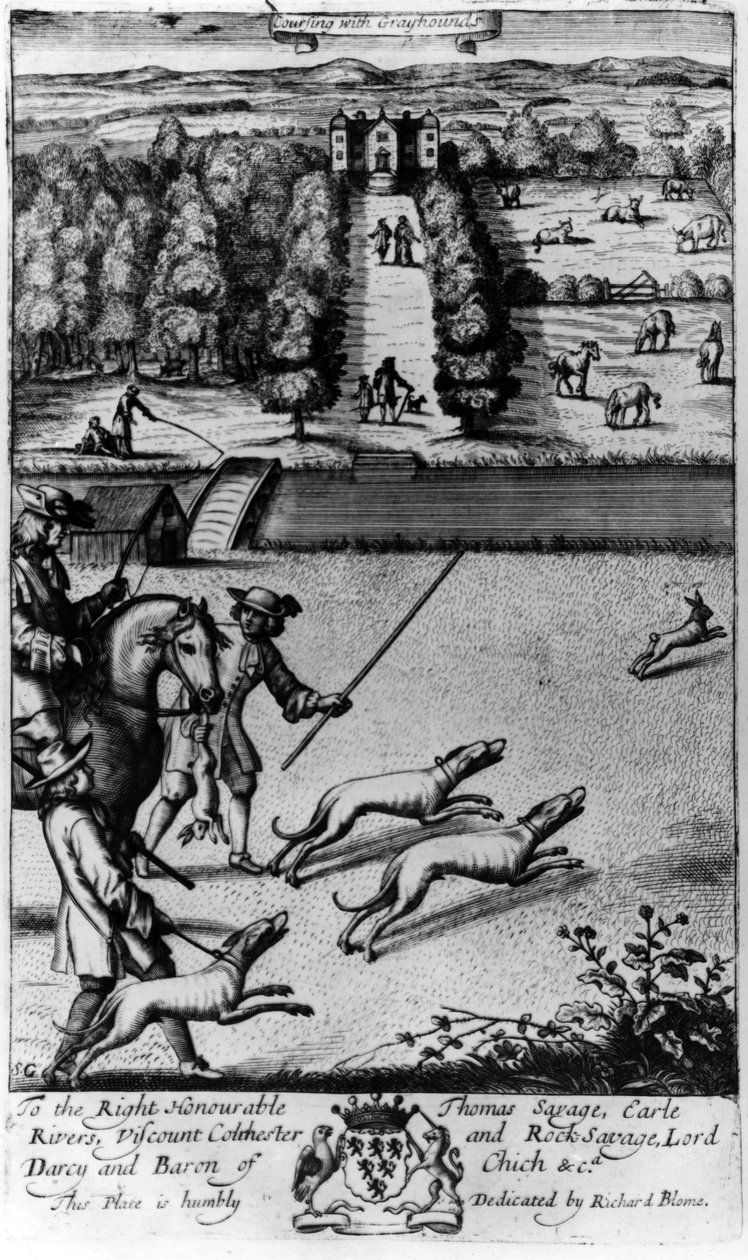 Coursing with Greyhounds, z 