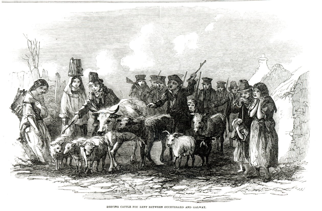 Zahánění dobytka k pronájmu mezi Ouchterardem a Galway, z „The Illustrated London News“, 29. prosince 1849 od English School