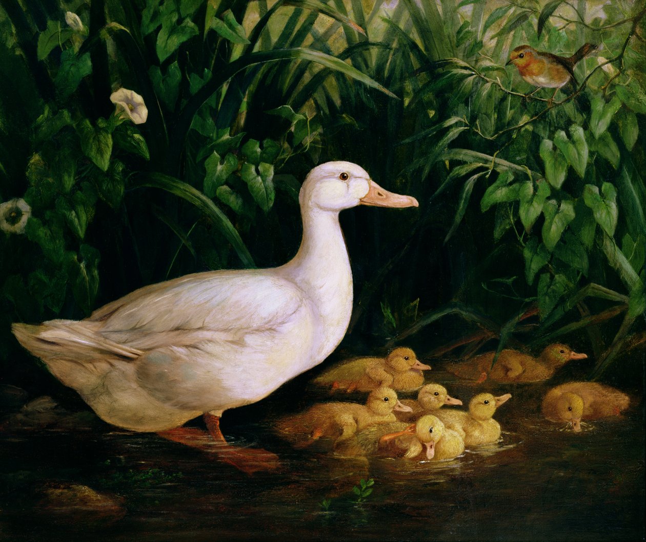 Kachna a kachňata, kolem roku 1890 od English School