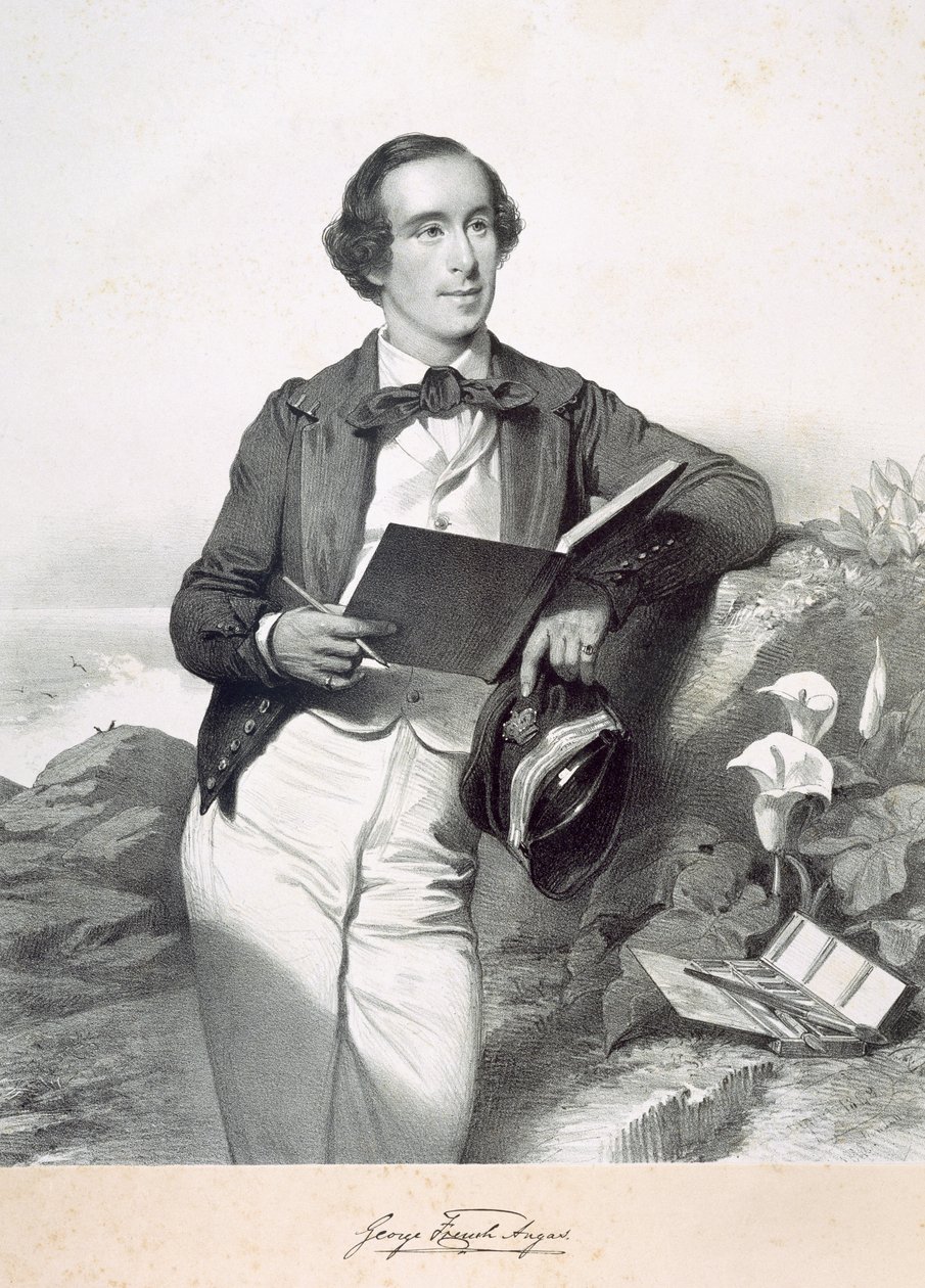George French Angas od English School