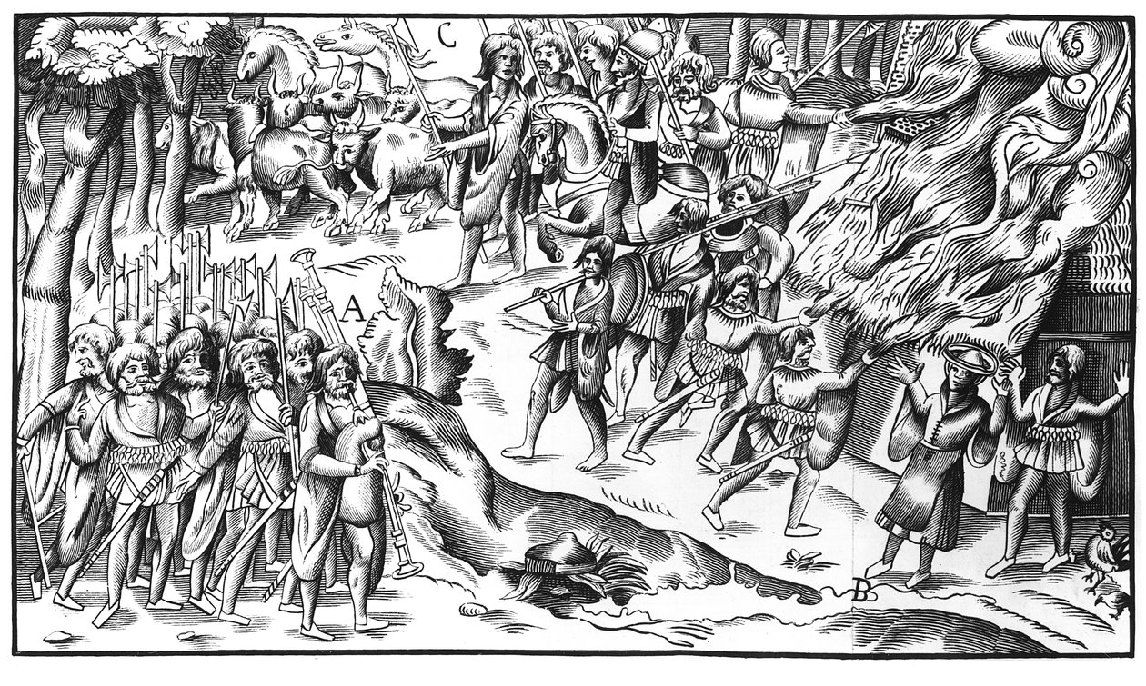 Nájezd irského dobytka na anglickou plantáž, 1581 od English School