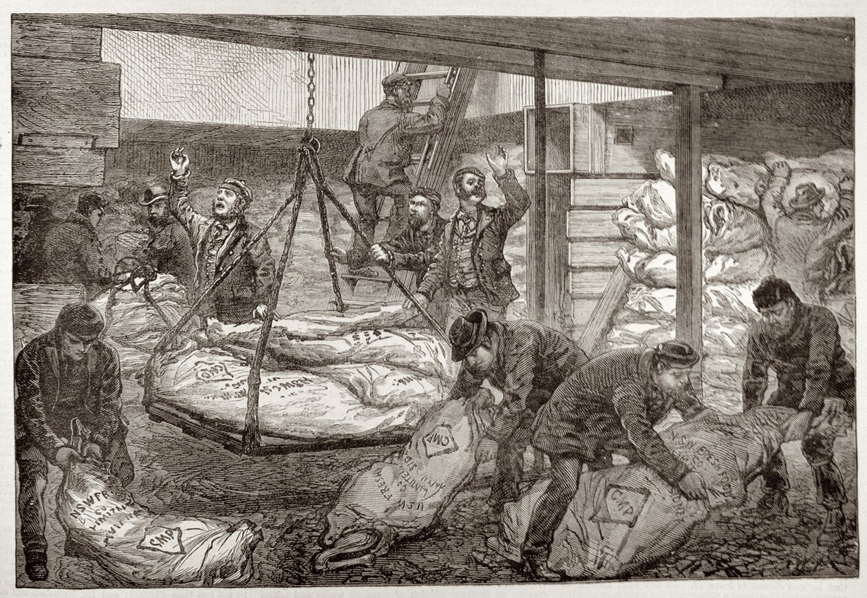 Přistání australského mraženého masa ze Sydney v jihozápadním indickém doku, Millwall, z „The Illustrated London News“, 19. listopadu 1881 od English School