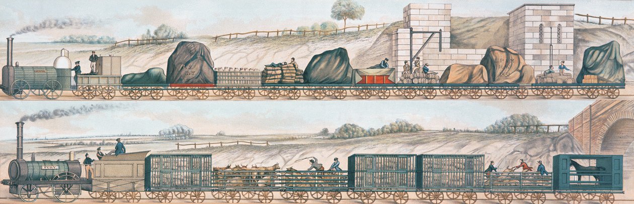 Liverpool a Manchester Railway: Nákladní a dobytek od English School