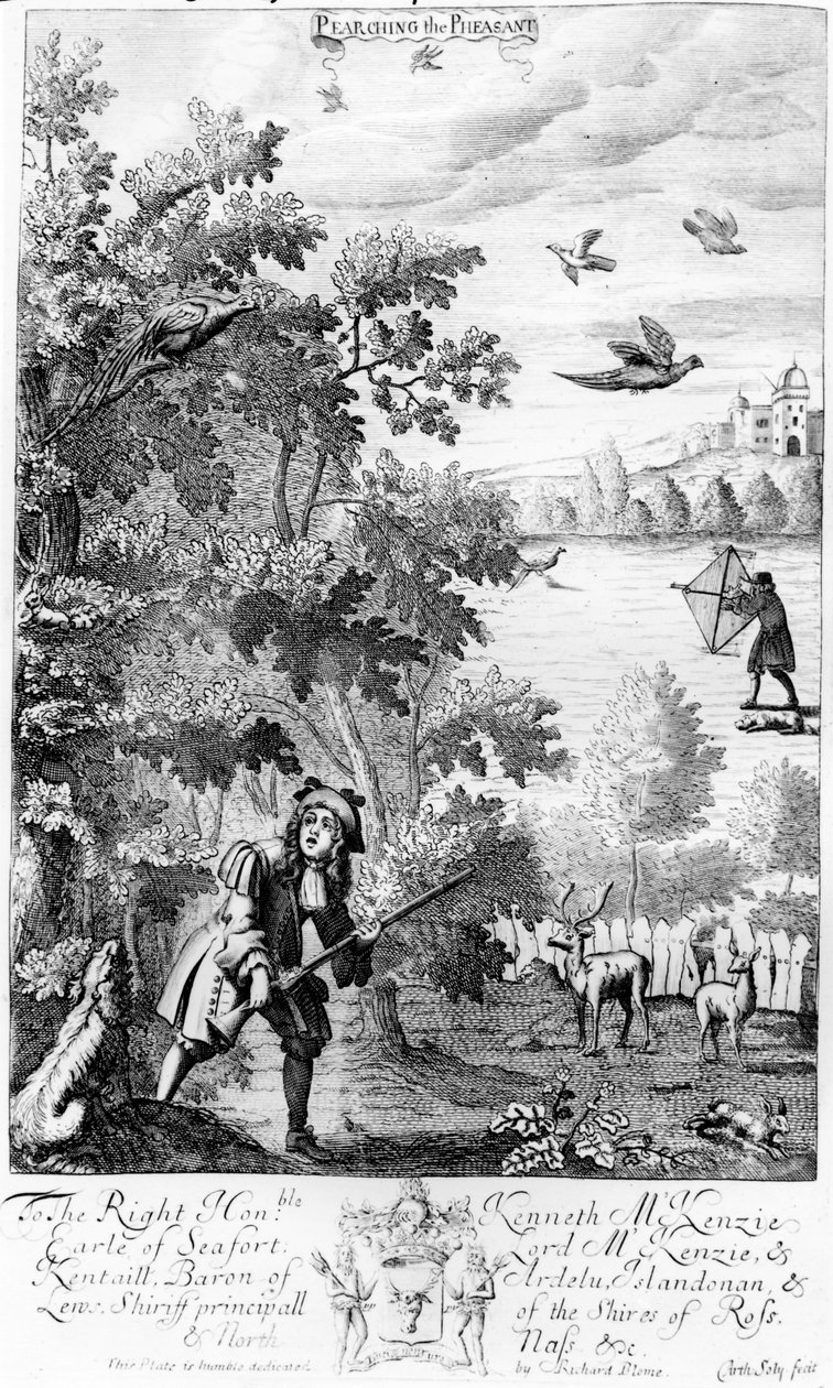 Pearching the Bažant, z 