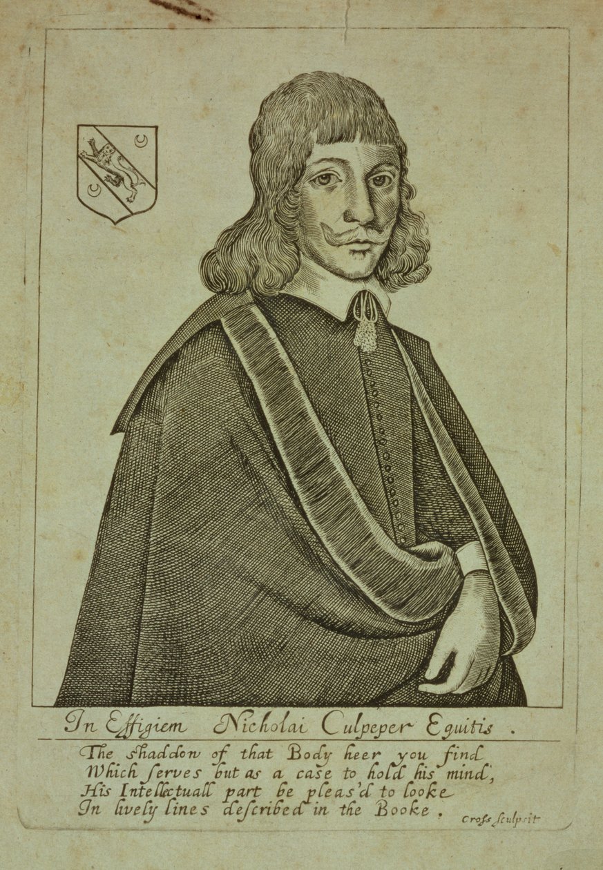 Portrét Nicholase Culpepera (1616-54) z fyzického adresáře neboli překladu londýnské dispenzatoře, vyryl Thomas Cross, 1649 od English School