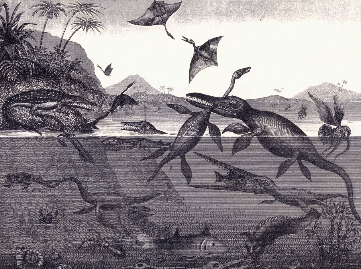 Prehistorická zvířata skupiny Lias od English School