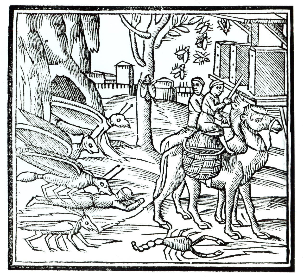 Reprezentace moru, 1572 od English School