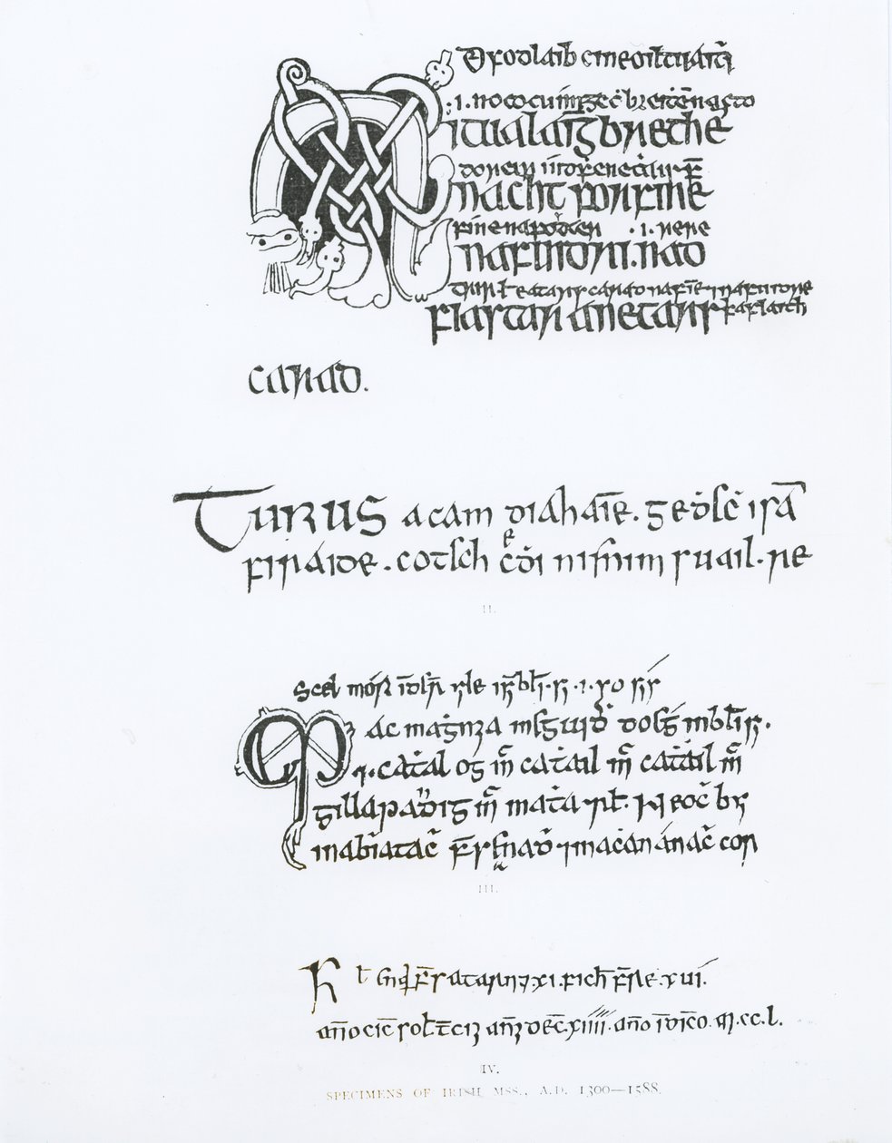 Vzorky irských rukopisů, c.1300-1588 od English School