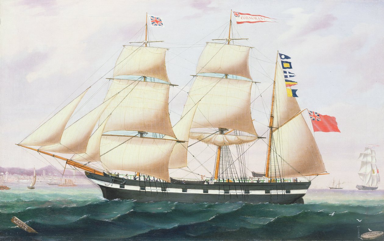 Kormorán Barque od English School