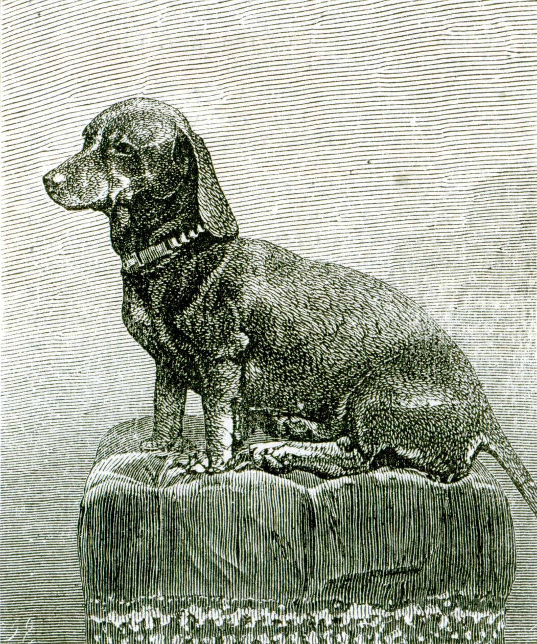 The Dog Jacob, z 