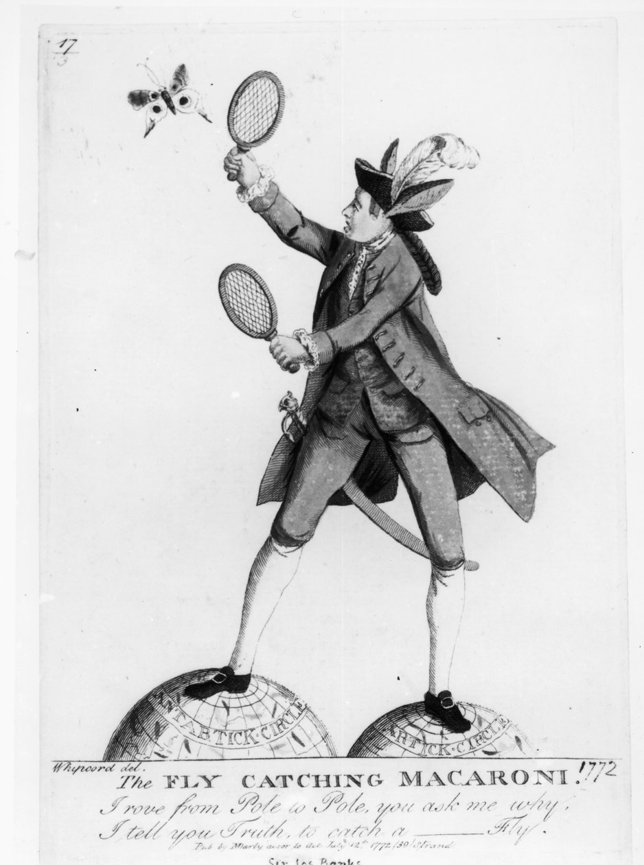 The Fly Catching Macaroni, rytina Whipcord, hospoda. N. Darly, 12. července 1772 od English School