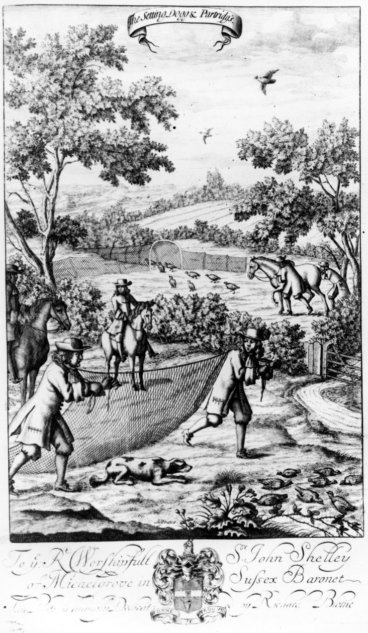 The Setting Dog and Partridges, z 