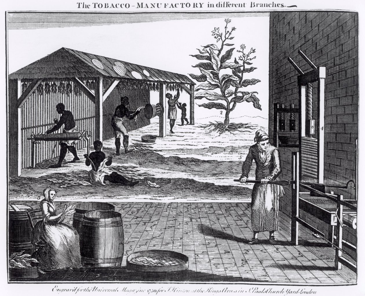 Tobacco Manufactory in Different Branches, vyryto pro Universal Magazine, 1750 (viz také 126979) od English School