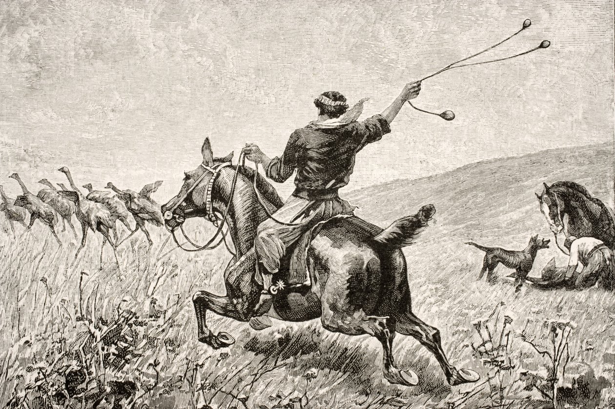 Throwing the Bolas, z „Journal of Researches“ od Charlese Darwina (1809-92), vydaného nakladatelstvím Nelson und Sons, 1890 od English School