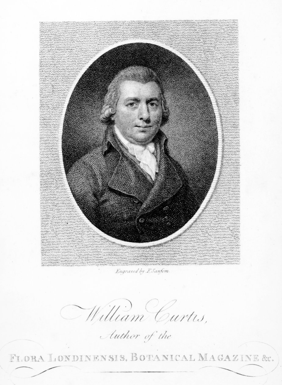 William Curtis, ryl F. Sansom, 1790 od English School