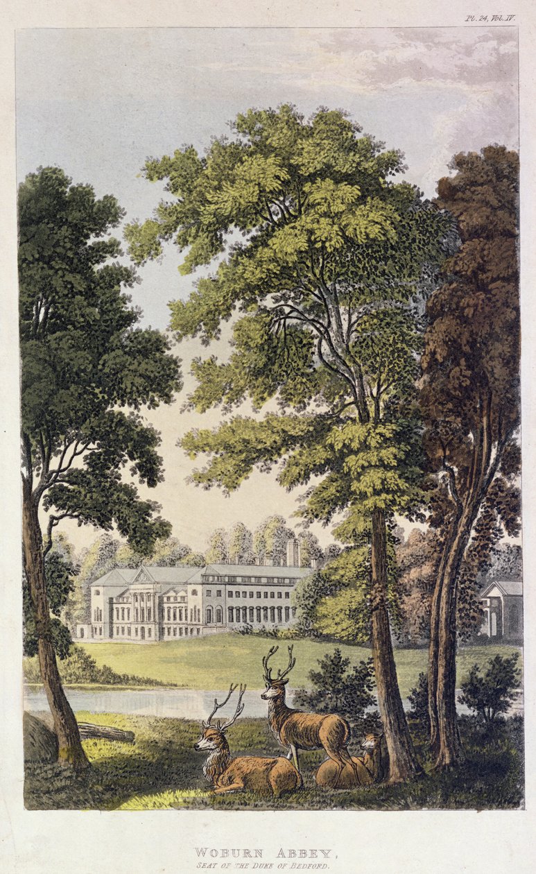 Woburn Abbey, z Ackermann