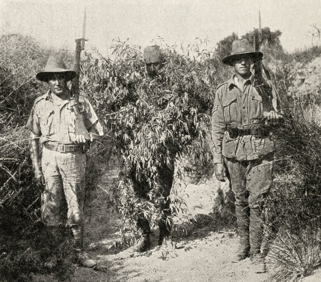 Turecký odstřelovač, maskovaný jako keř, ve vazbě poté, co byl zajat jednotkami ANZAC, z „Velké války: Historie“, svazek III, 1916 od English Photographer
