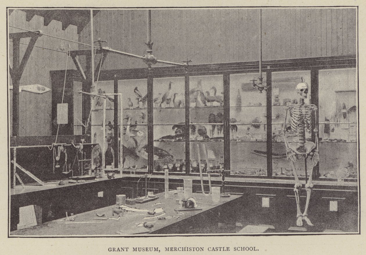 Grant Museum, Merchiston Castle School (rytina) od English Photographer