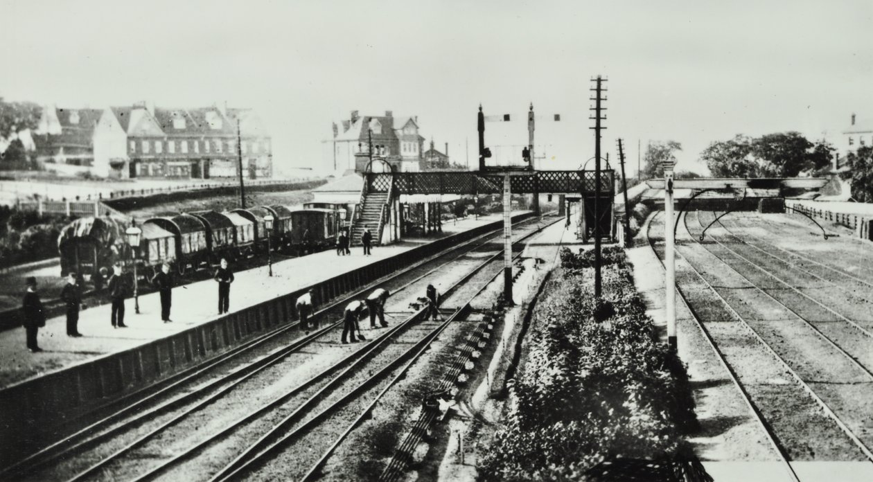 Grove Park Station: exteriér a nástupiště, 1888 od English Photographer