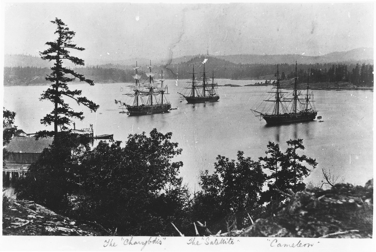 HMS Charybdis, HMS Satellite a HMS Cameleon v Esquimalt Royal Navy Dockyard, Britská Kolumbie, kolem 80. let 19. století od English Photographer