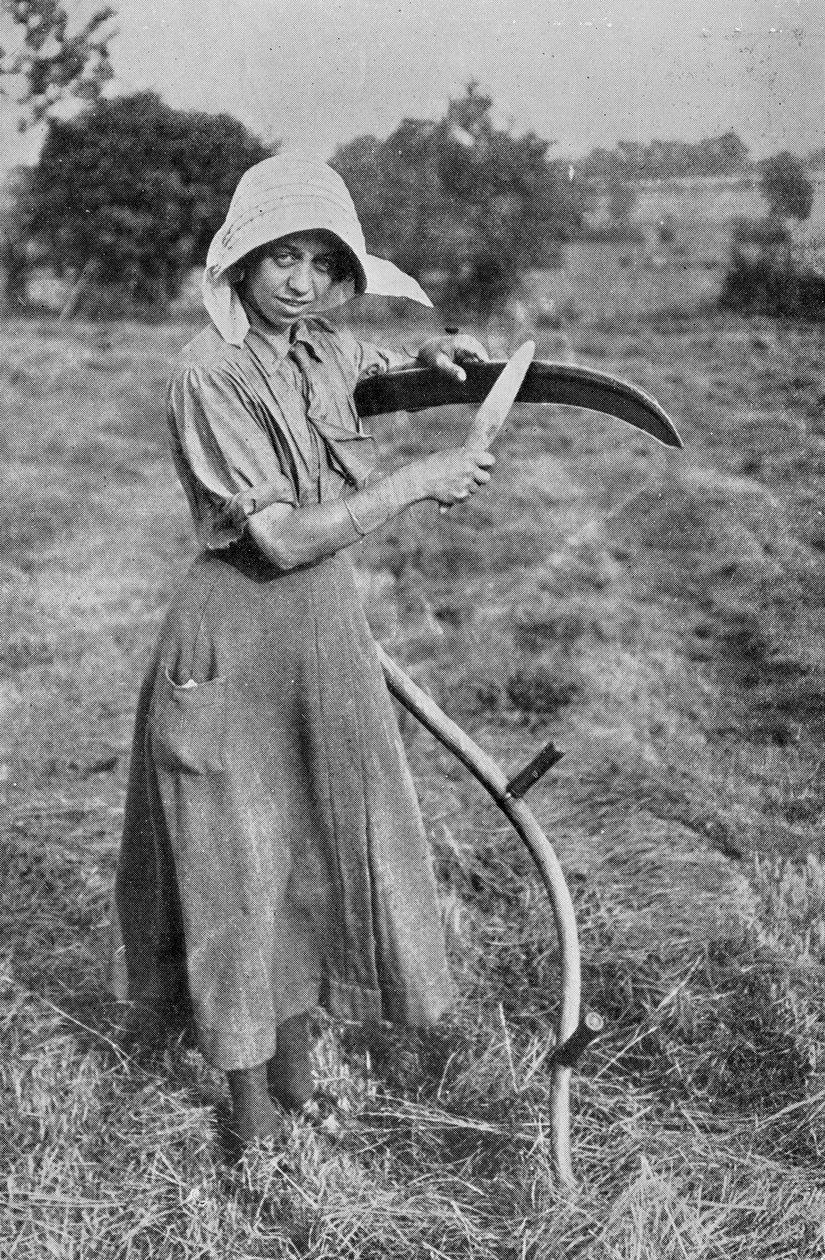 Harvesting - Členka Leicester Women