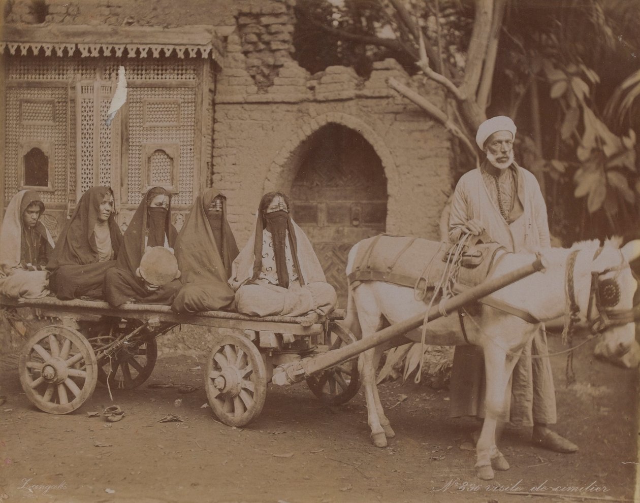 Koňský vůz, Káhira, 1893 od English Photographer