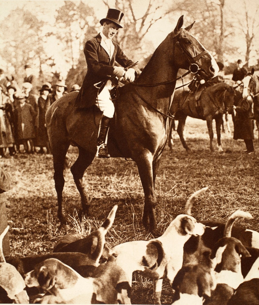 Král Edward VIII s lovem Beauforta, 1923 od English Photographer