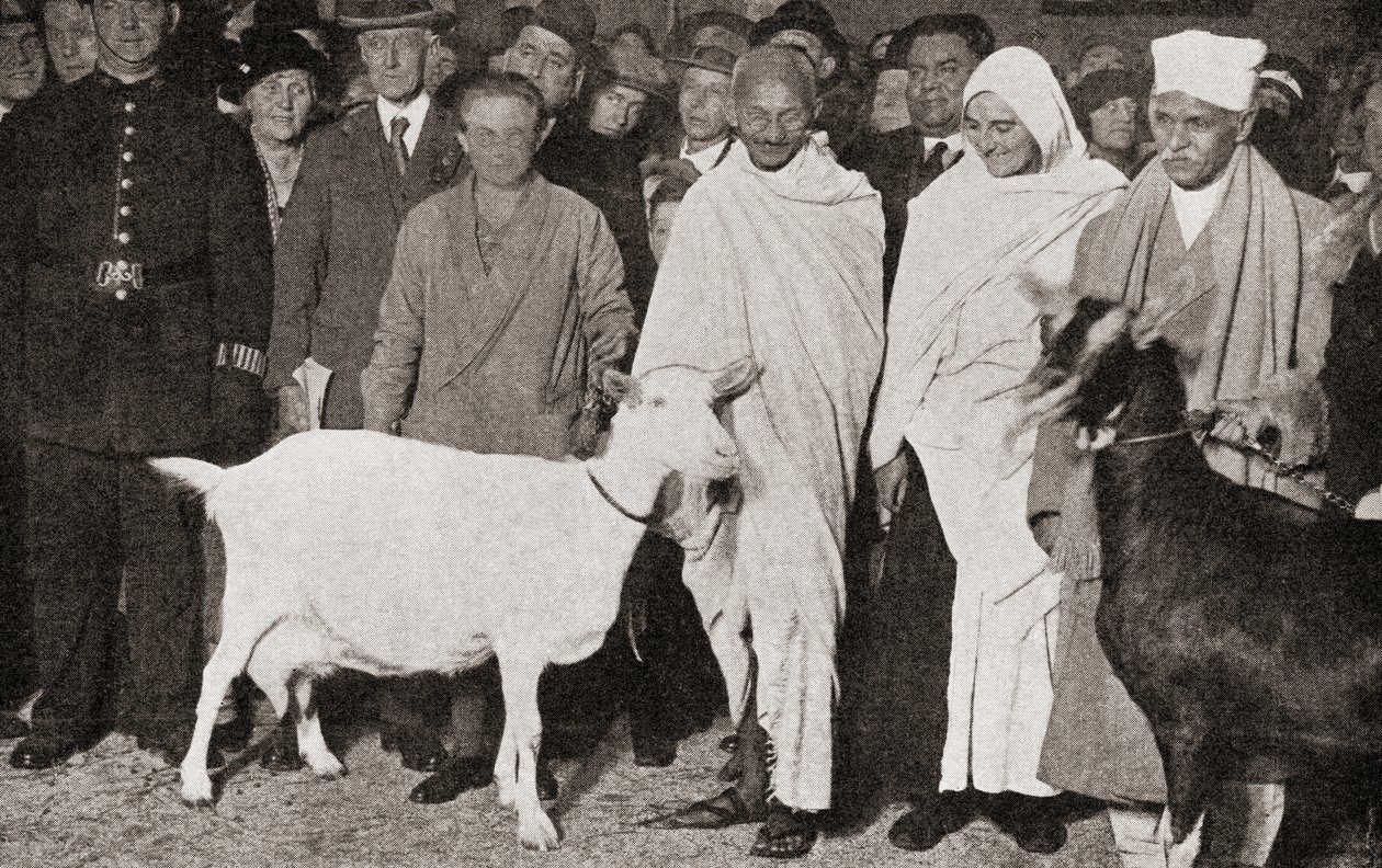 Mahátma Gándhí přijíždí do Londýna v Anglii v roce 1931 se svou učednicí Madeleine Slade a jeho dvěma kozami, z Příběhu dvaceti pěti let, vydaného v roce 1935. od English Photographer