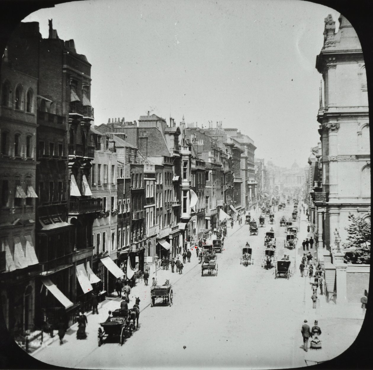 Pall Mall, Westminster LB: při pohledu na východ od Marlborough Road, 1895 od English Photographer