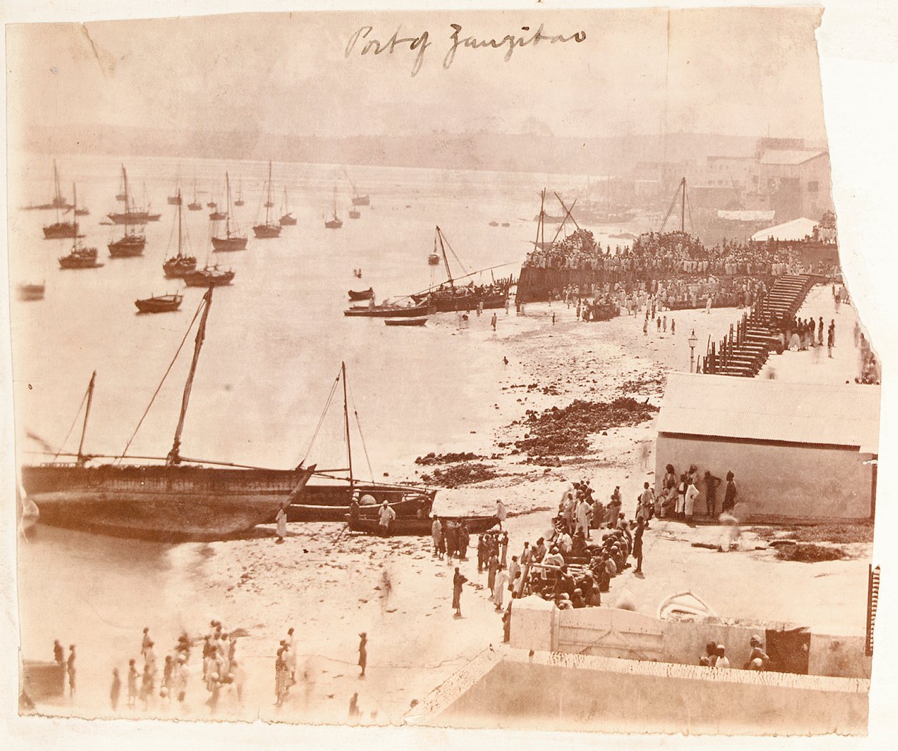 Port of Zanzibar, z alba patřícího Henrymu Mortonovi Stanleymu od English Photographer