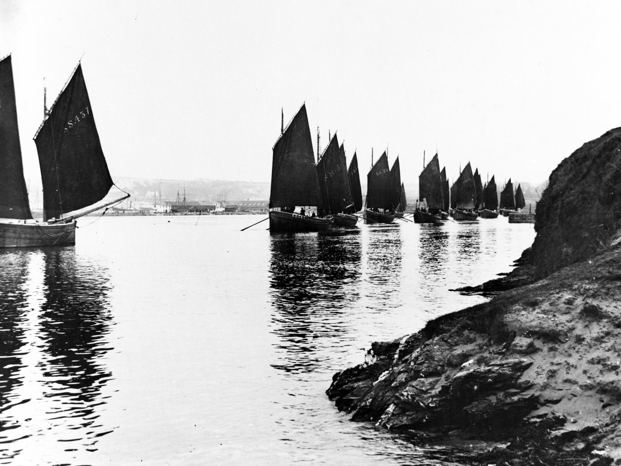 Regatta, ústí řeky Hayle, kolem roku 1890 od English Photographer