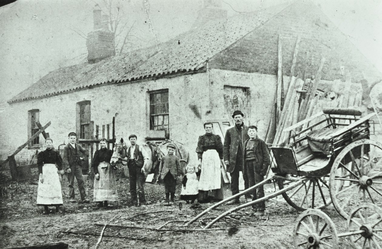 Saint Gothard Road: farmy, 1880 od English Photographer