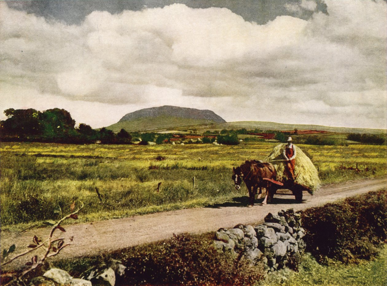 Slemish, hrabství Antrim (barevné foto) od English Photographer