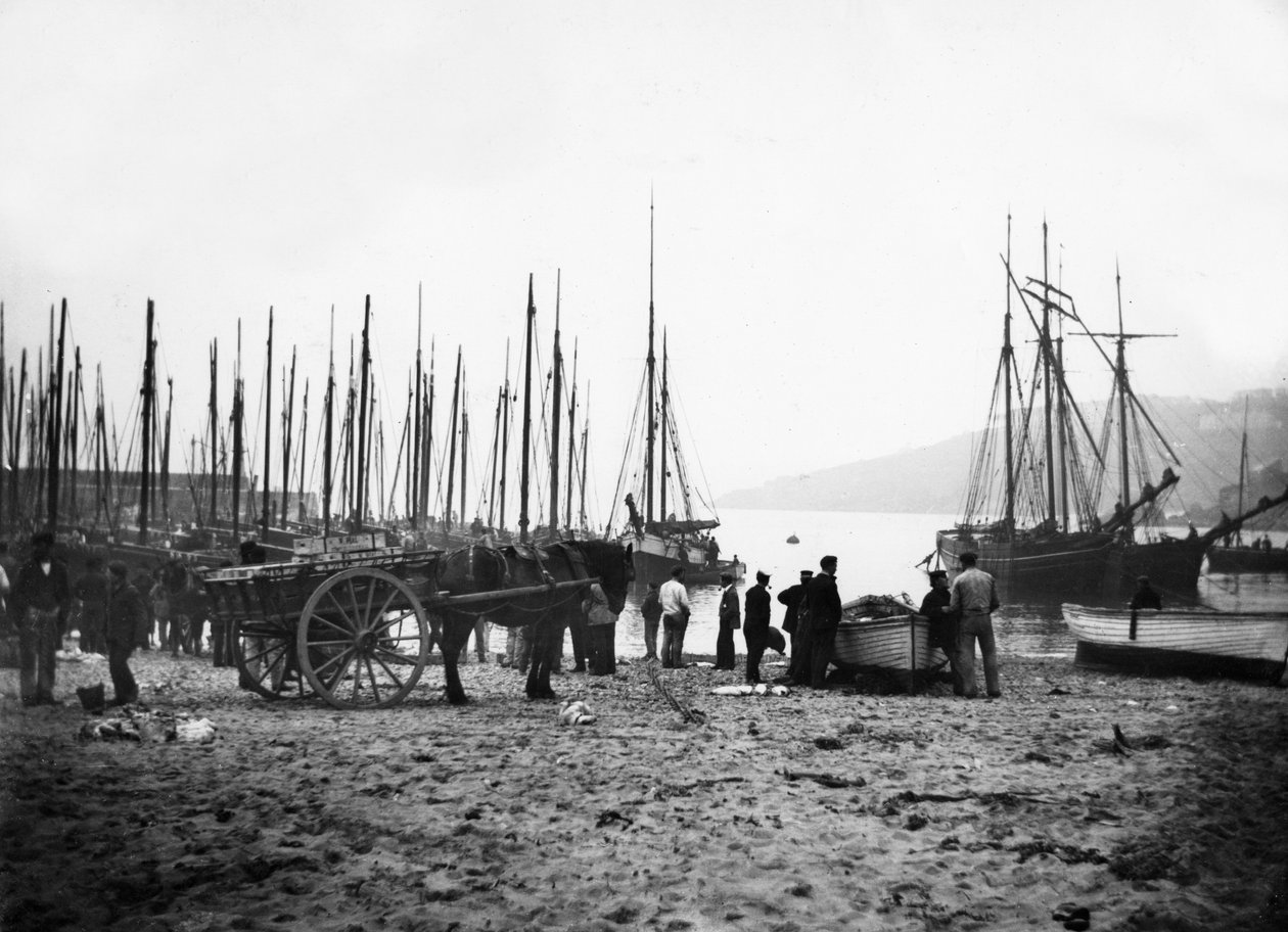 St Ives Harbour Looking Towards Carbis Bay, c.1880-99 od English Photographer