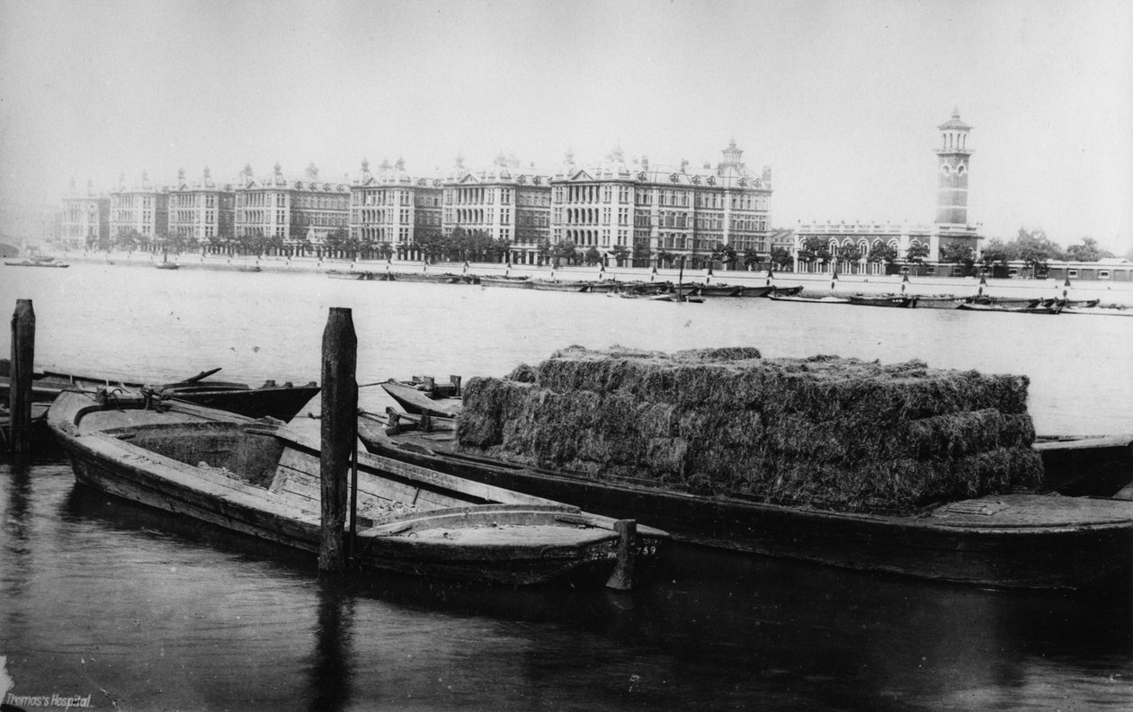 Nemocnice St Thomas, Albert Embankment, konec 19 od English Photographer