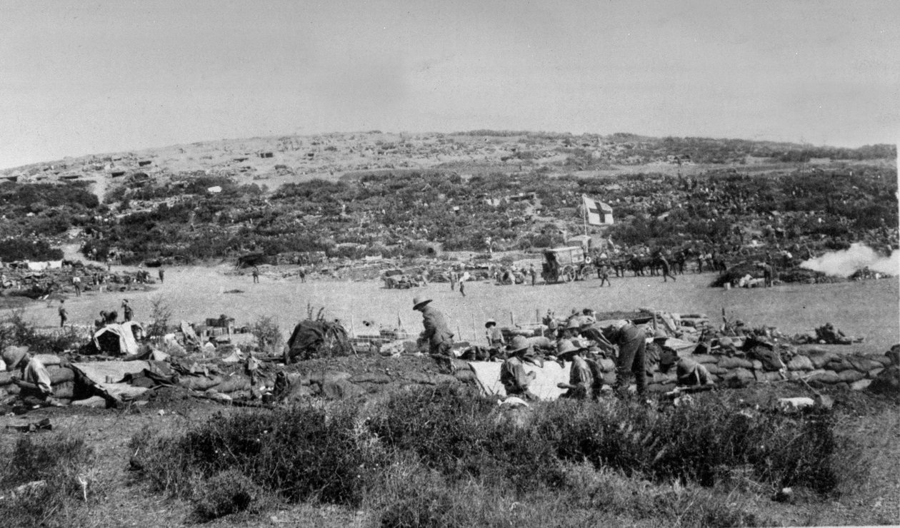 Suvla Bay, Gallipoli na Chocolate Hill, kolem roku 1915 od English Photographer