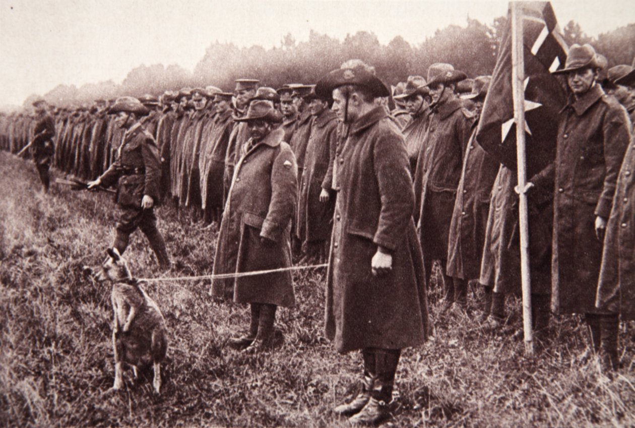 Recenze Anzac na Salisbury Plain: australský maskot, ilustrace z The Illustrated War News, 27. září 1916 (sépiová fotografie) od English Photographer