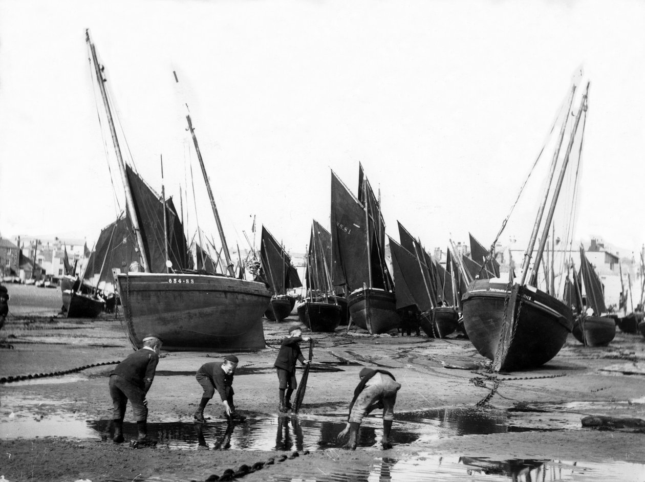 Rybářská flotila v St Ives Harbour, c.1880-99 od English Photographer